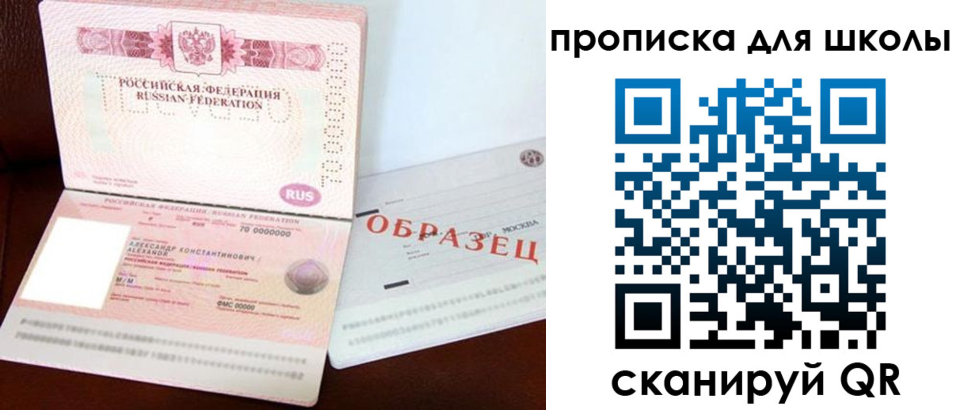 прописка для школы в Менделеевске